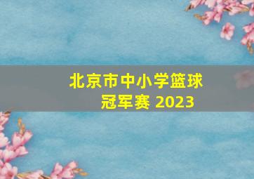 北京市中小学篮球冠军赛 2023